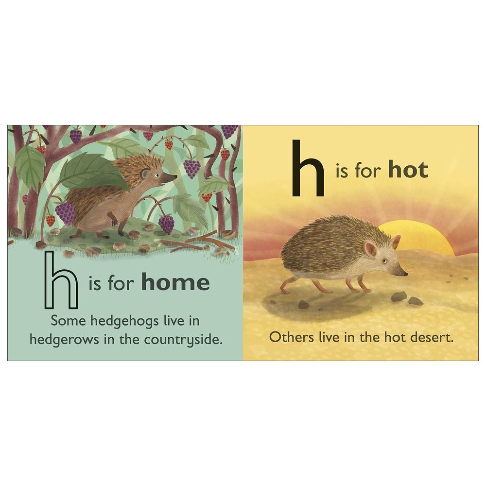 H Is For Hedgehog