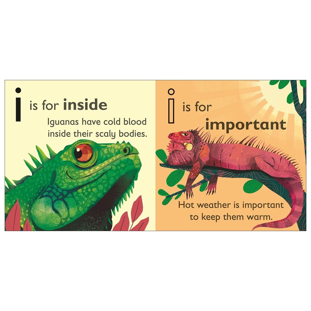 I Is For Iguana