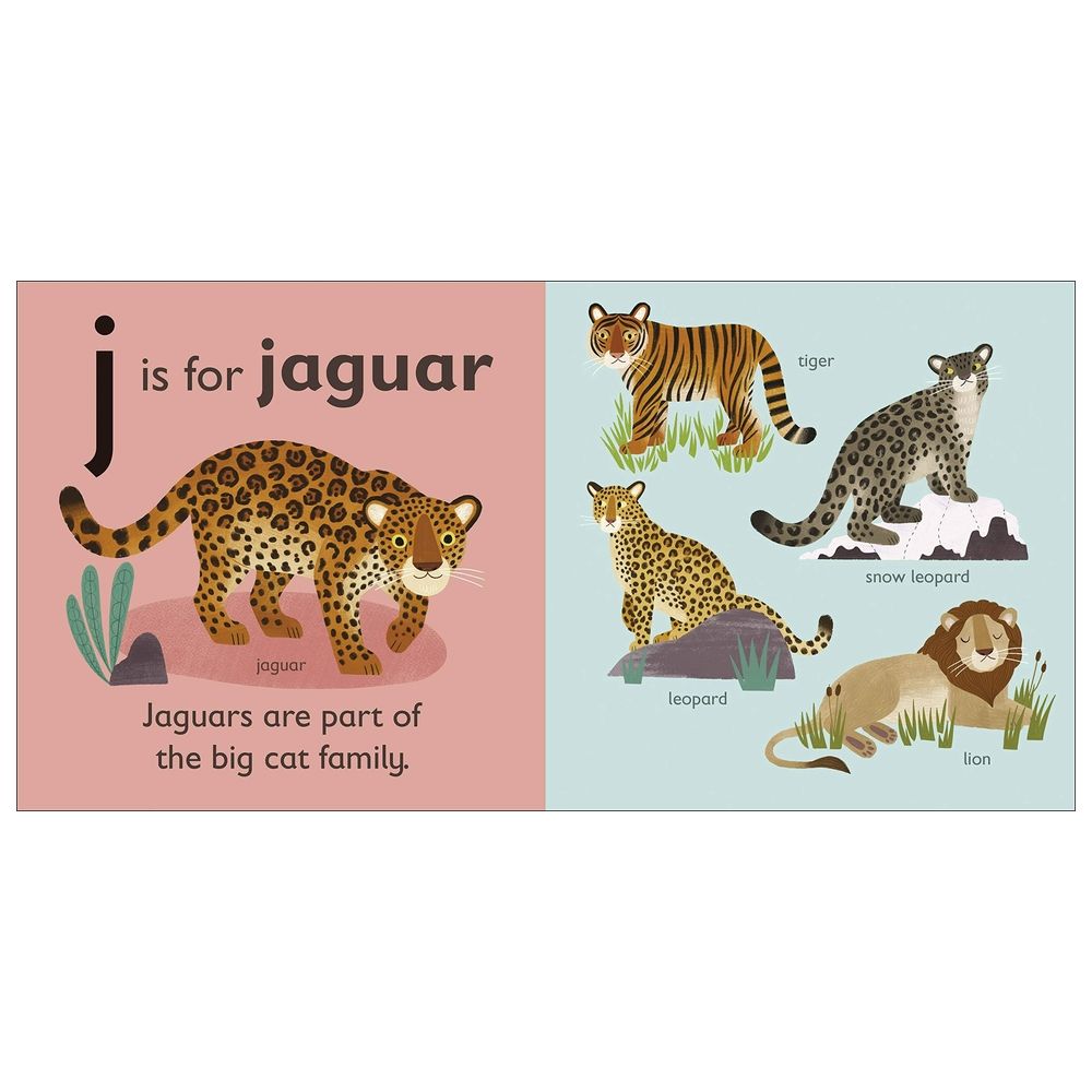 J Is For Jaguar