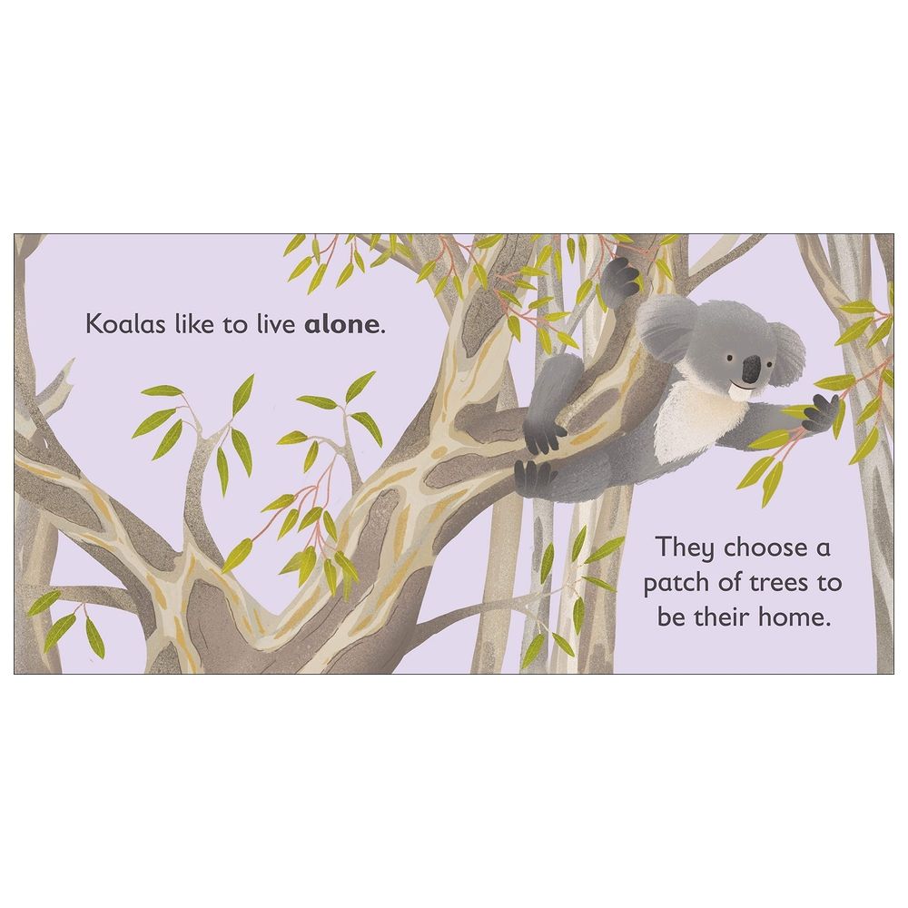  كتاب k is for koala