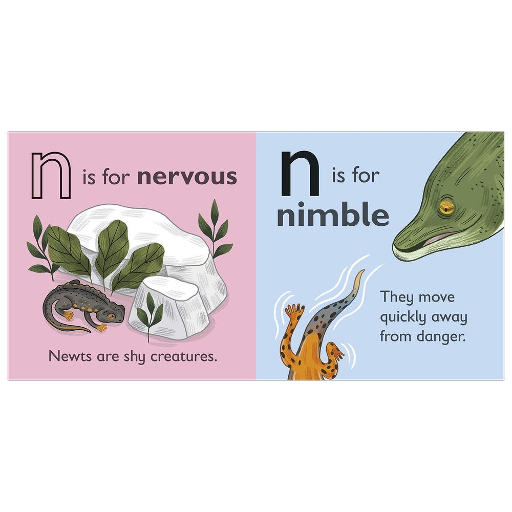  كتاب n is for newt