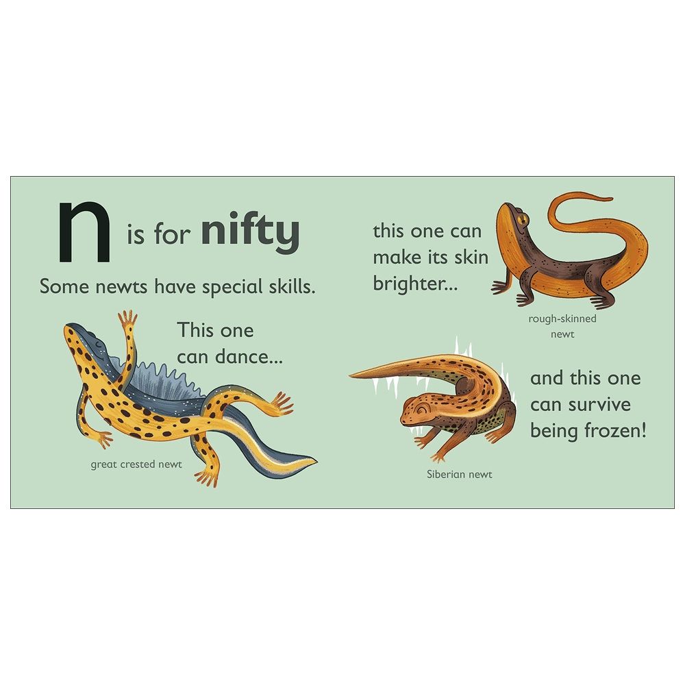 N Is For Newt