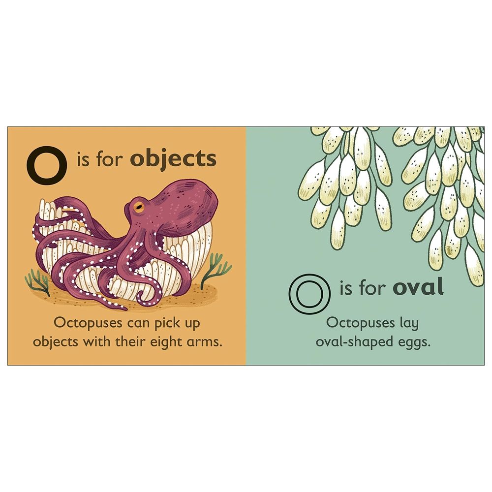 O Is For Octopus