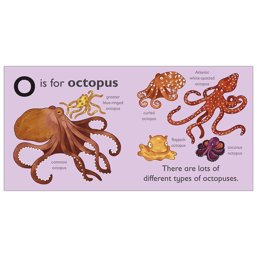 O Is For Octopus