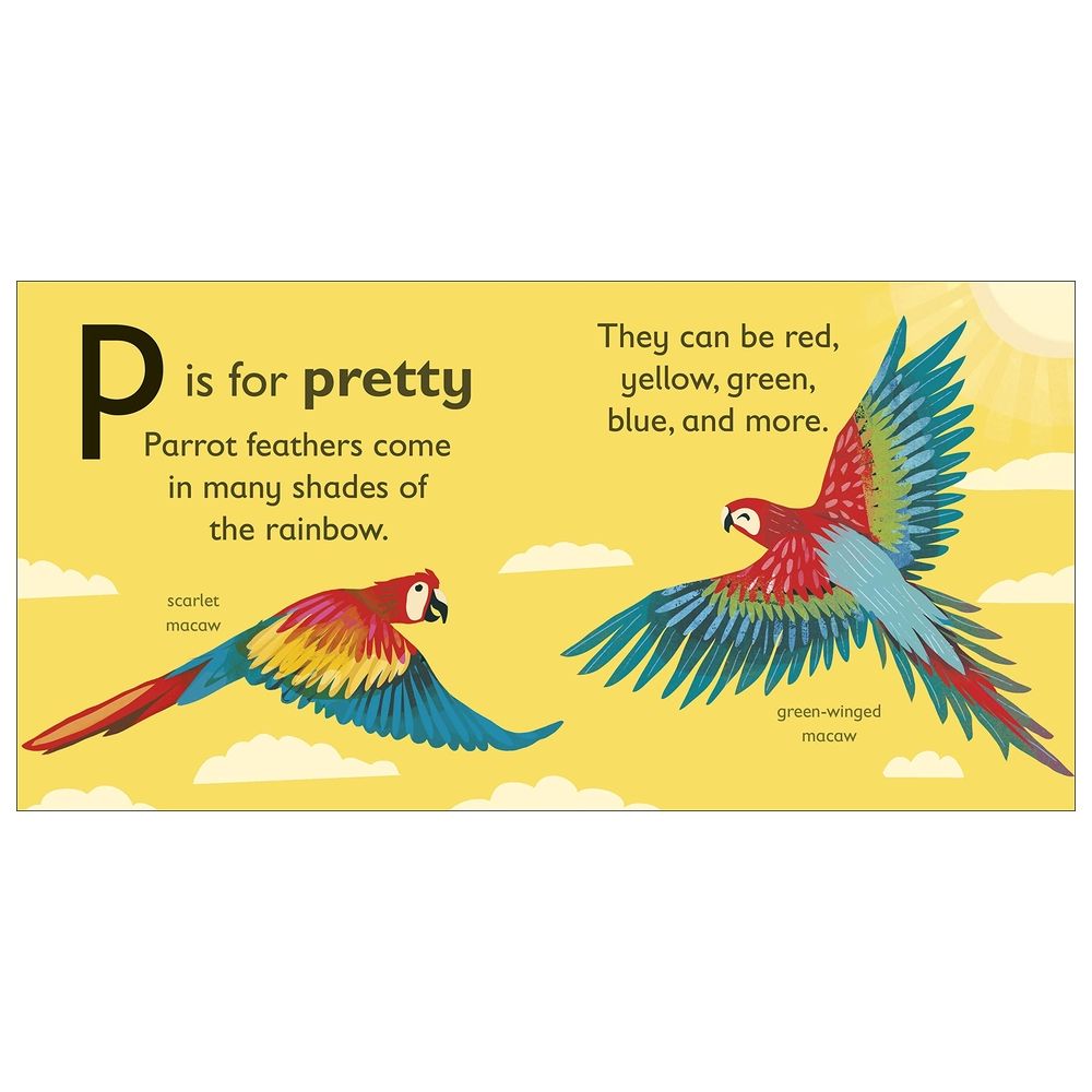 P Is For Parrot