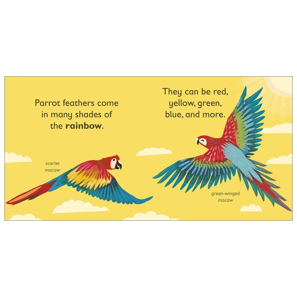 P Is For Parrot