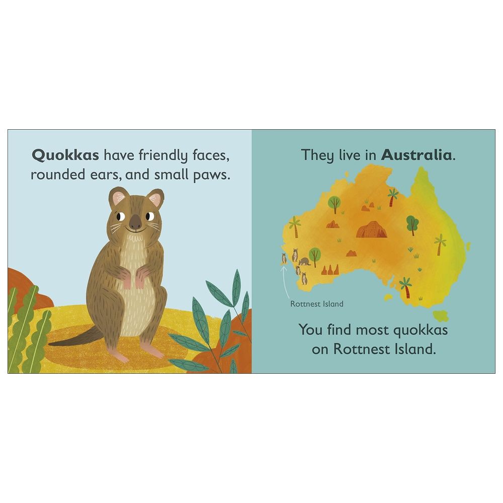  كتاب q is for quokka