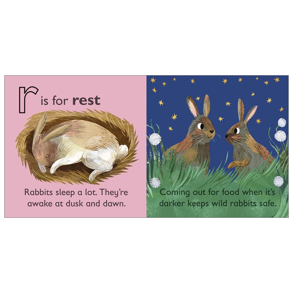 R Is For Rabbit