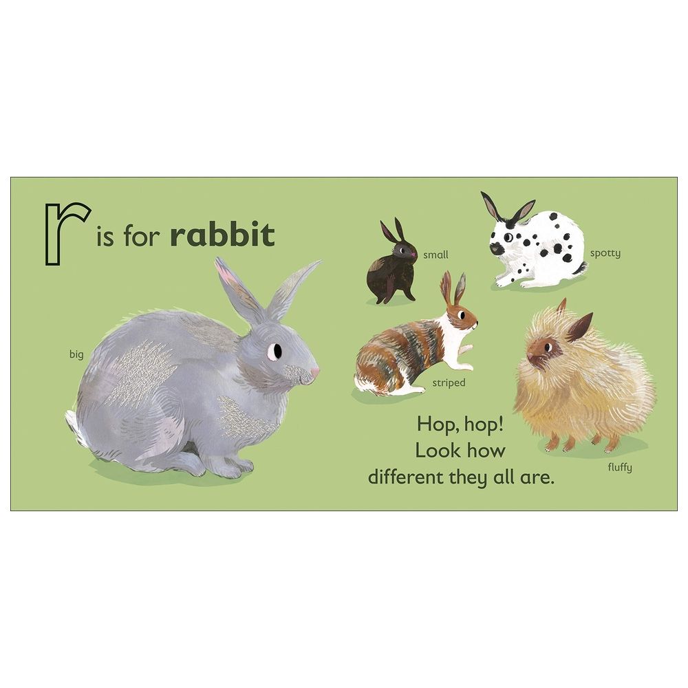  كتاب r is for rabbit