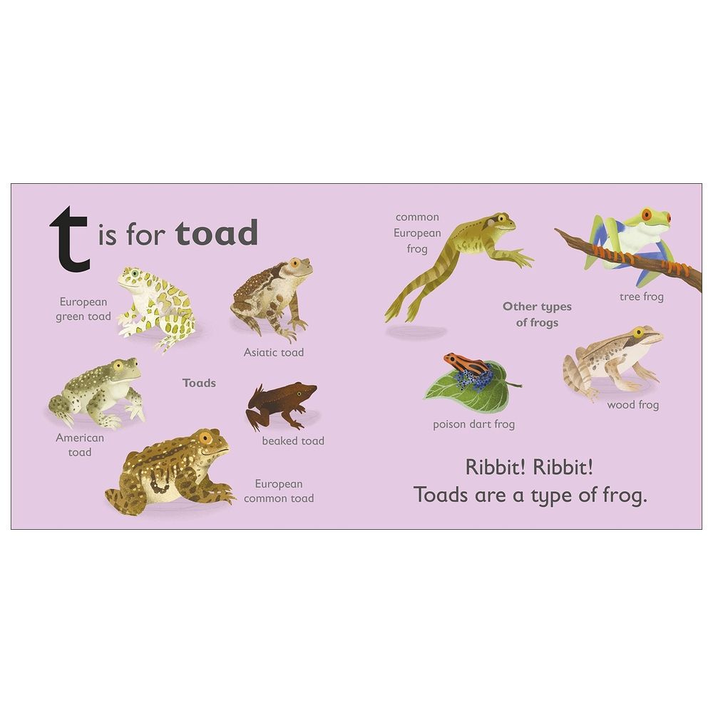  كتاب t is for toad