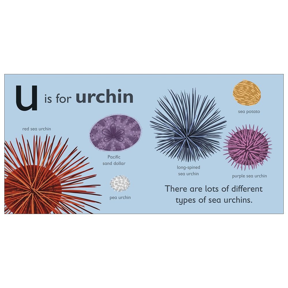  كتاب u is for urchin