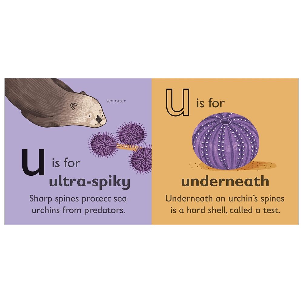  كتاب u is for urchin