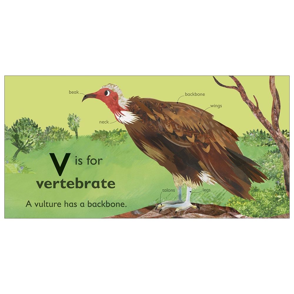  كتاب v is for vulture