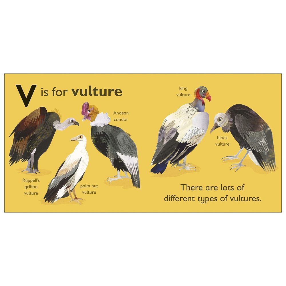 V Is For Vulture