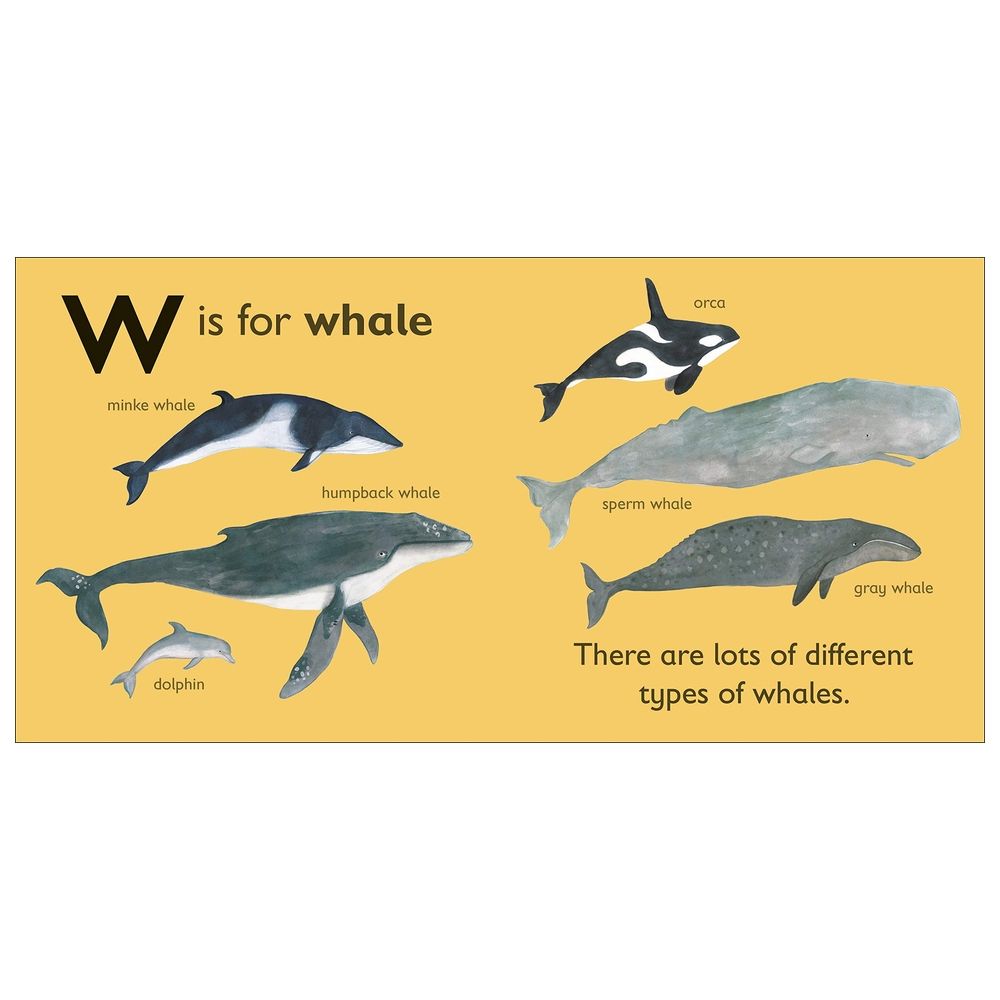  كتاب w is for whale