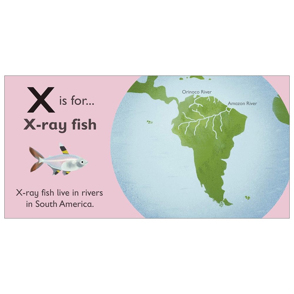  كتاب x is for x-ray fish