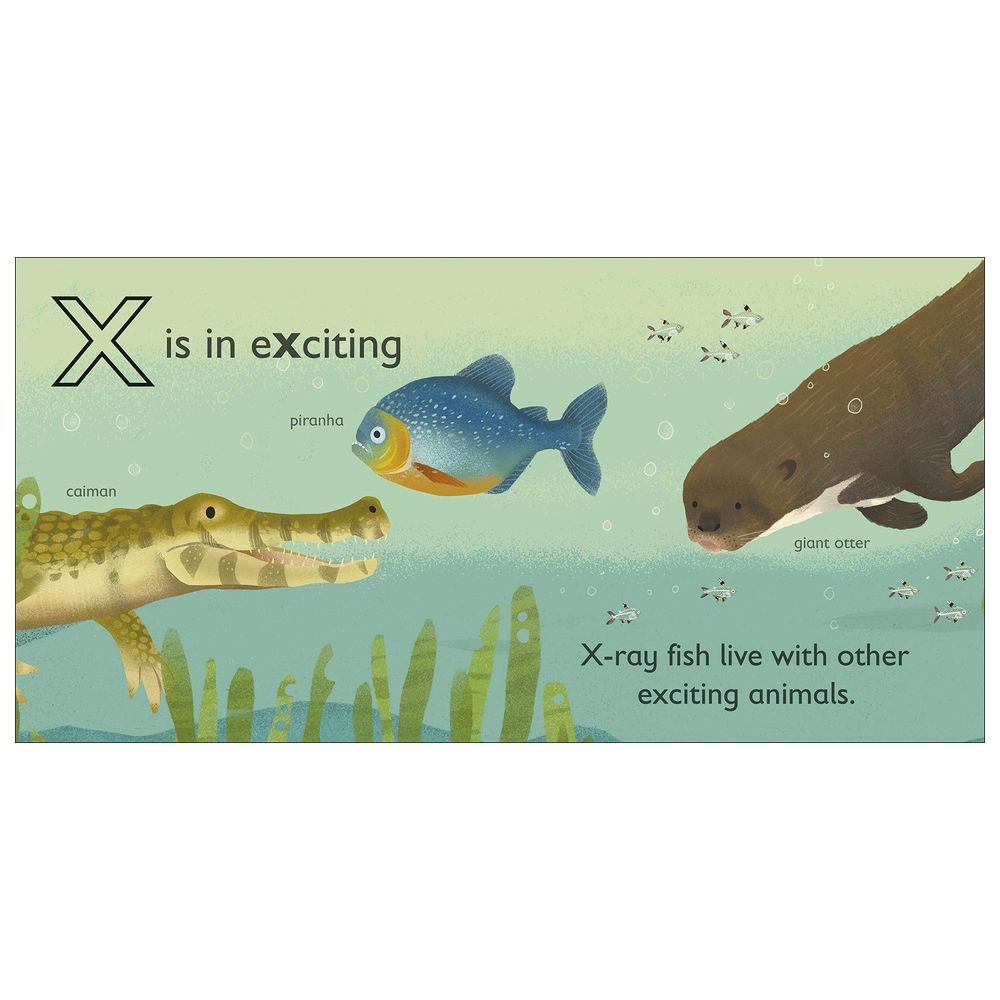  كتاب x is for x-ray fish