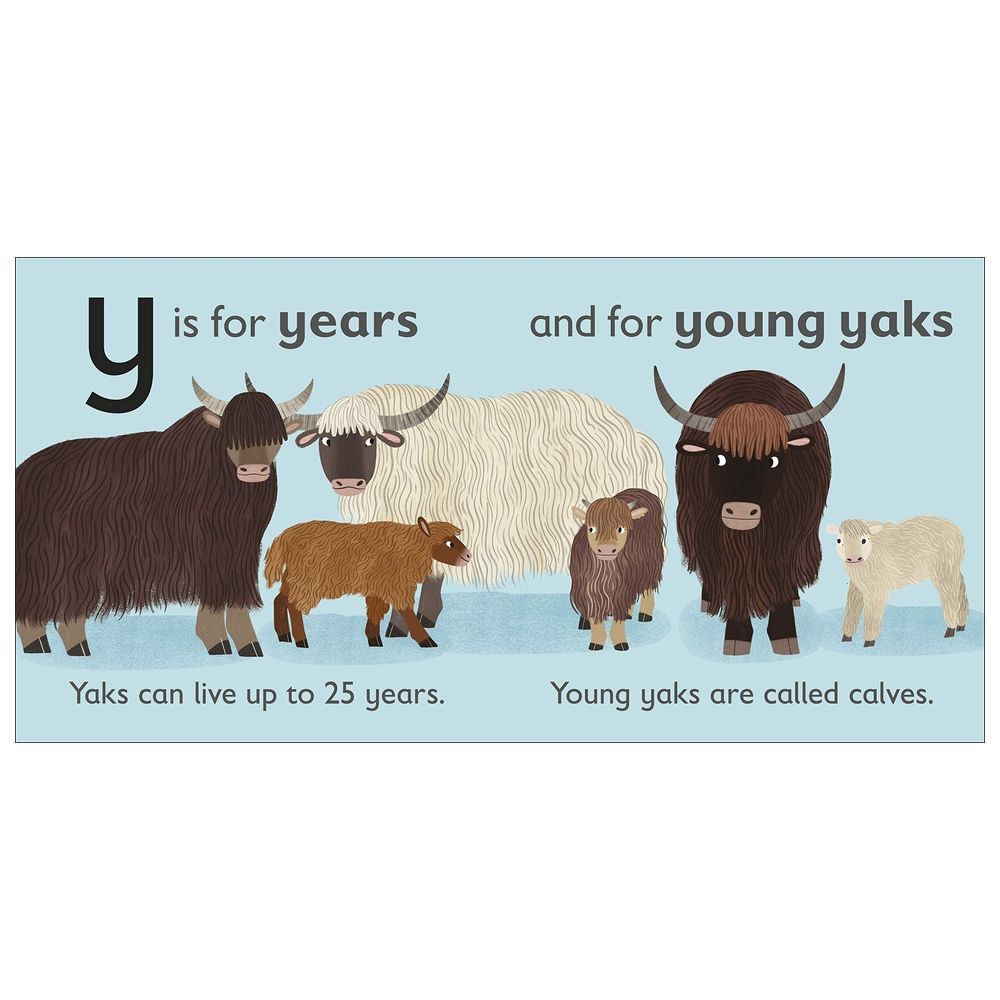  كتاب y is for yak