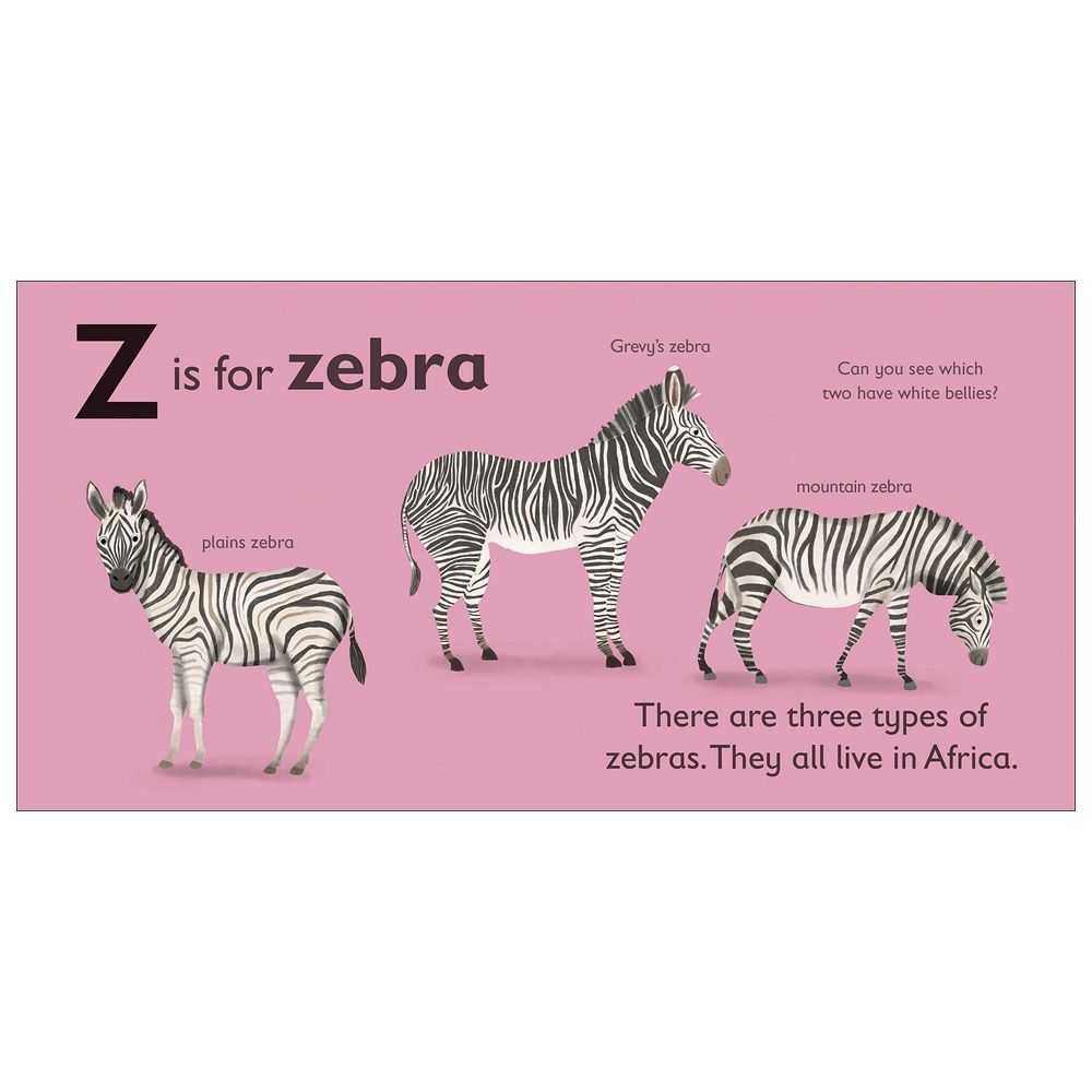 Z Is For Zebra