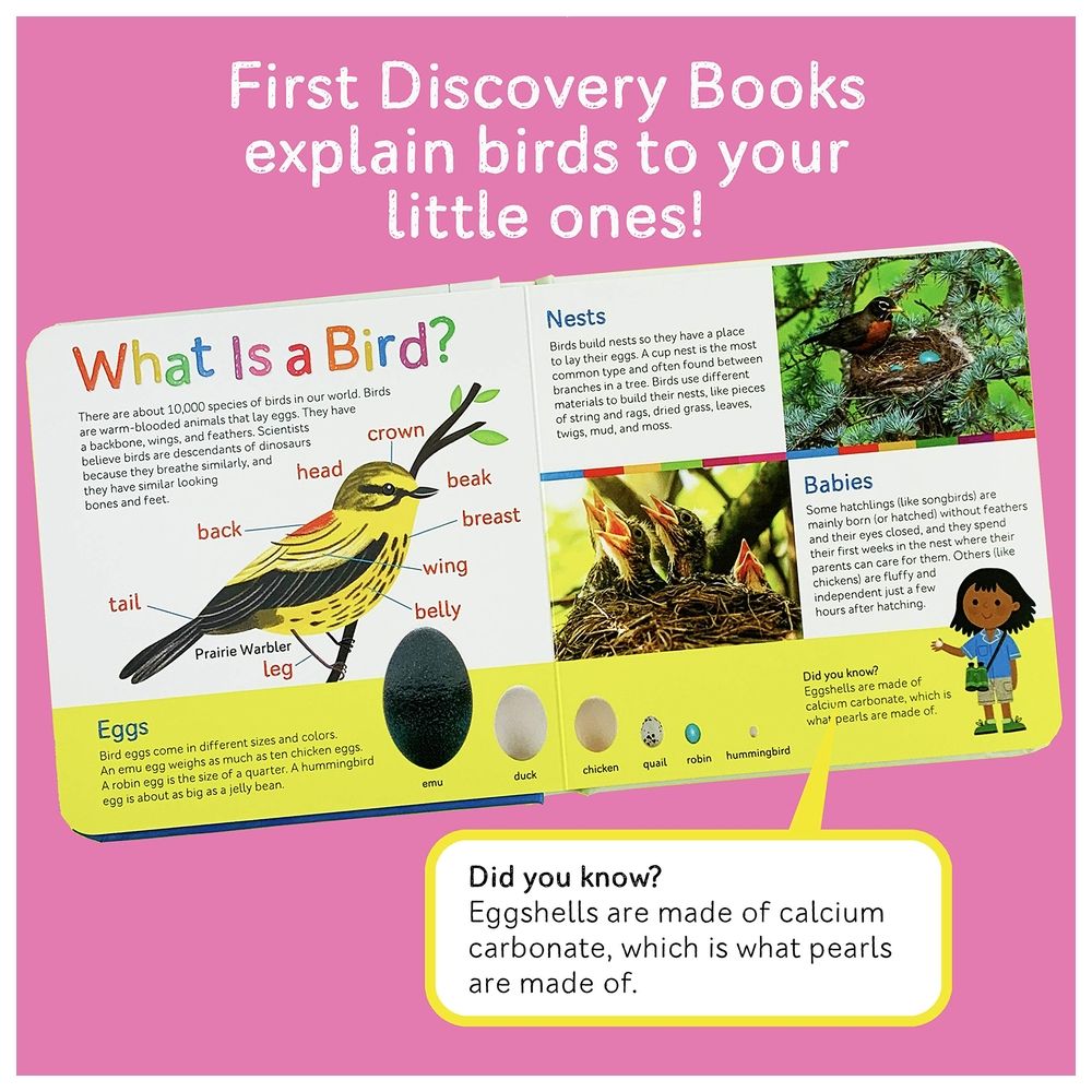  كتاب birds: feathers, eggs, and beaks