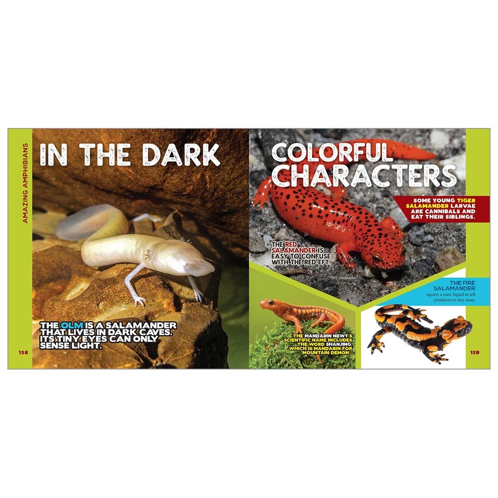 The Fascinating Animal Book For Kids: 500 Wild Facts!