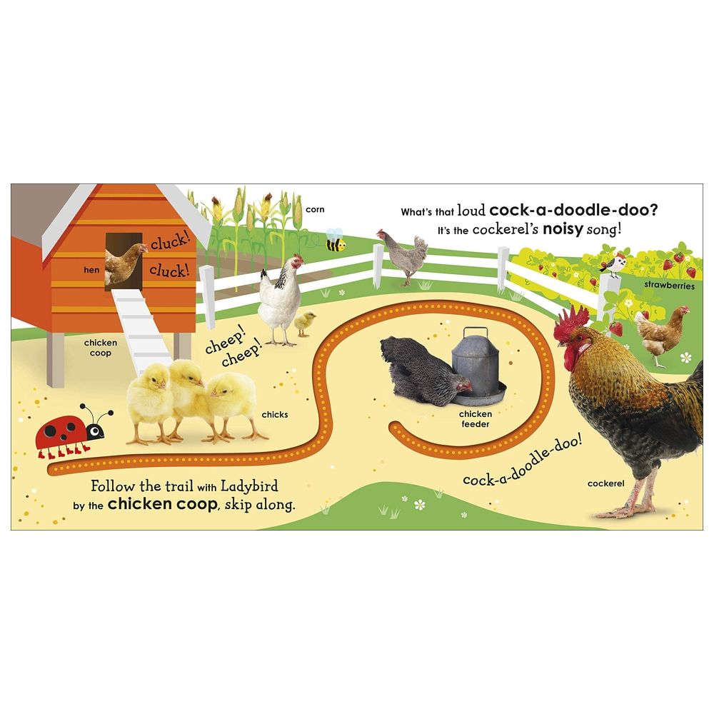 قصة On The Farm With A Ladybird: With Fun Trails To Follow And First Words