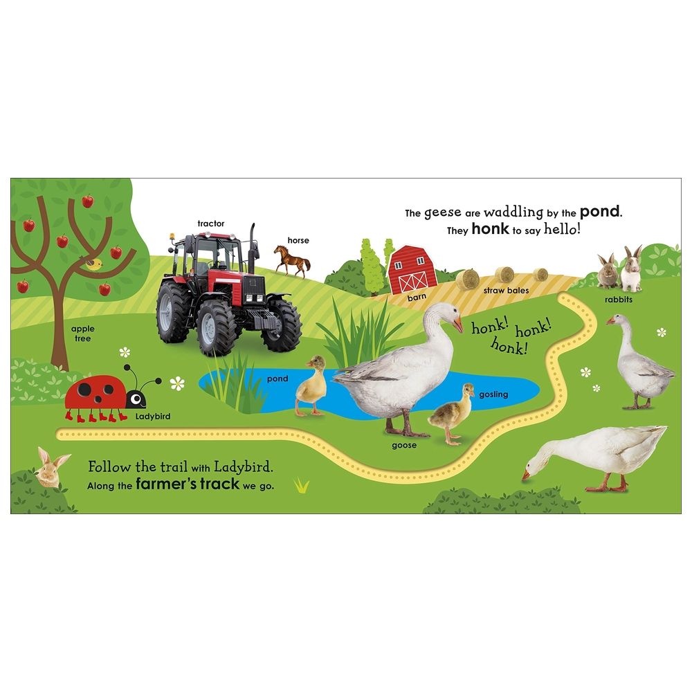 قصة On The Farm With A Ladybird: With Fun Trails To Follow And First Words