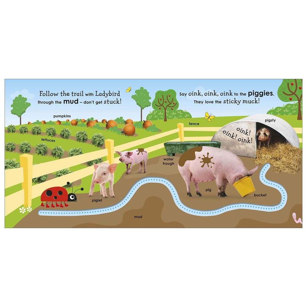 قصة On The Farm With A Ladybird: With Fun Trails To Follow And First Words