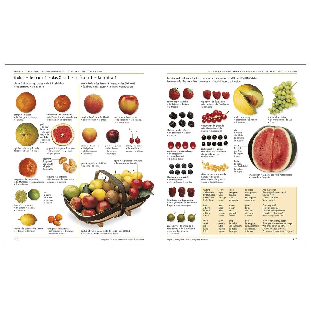 5 Language Visual Dictionary