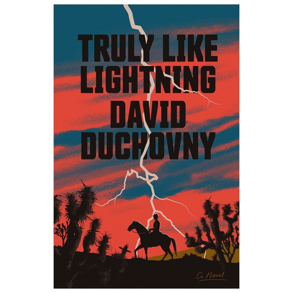  كتاب truly like lightning: a novel