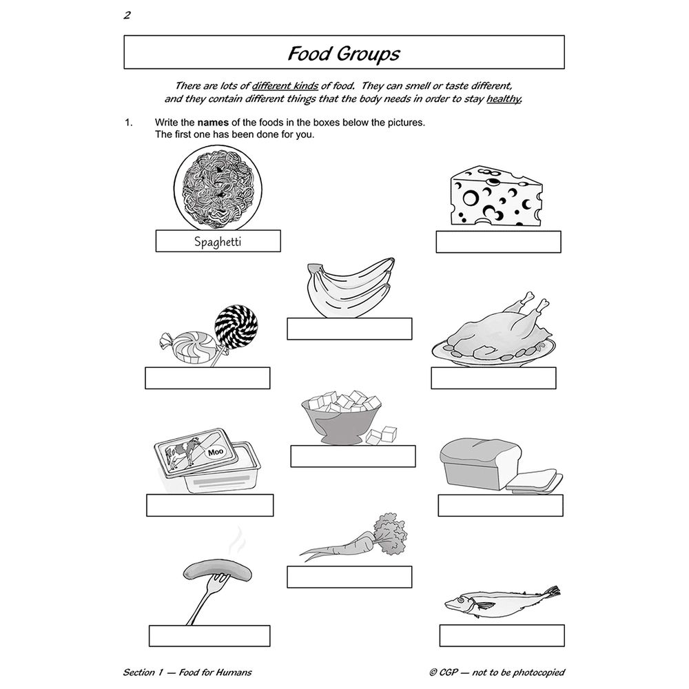 KS2 Science Year Three Workout: Nutrition & The Body