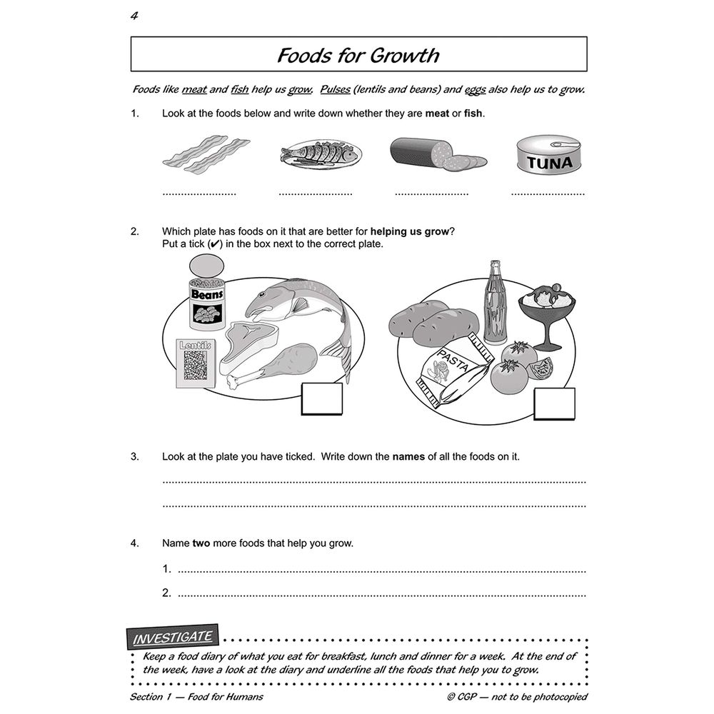  كتاب ks2 science year three workout: nutrition & the body