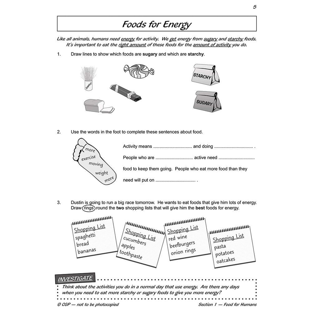 KS2 Science Year Three Workout: Nutrition & The Body