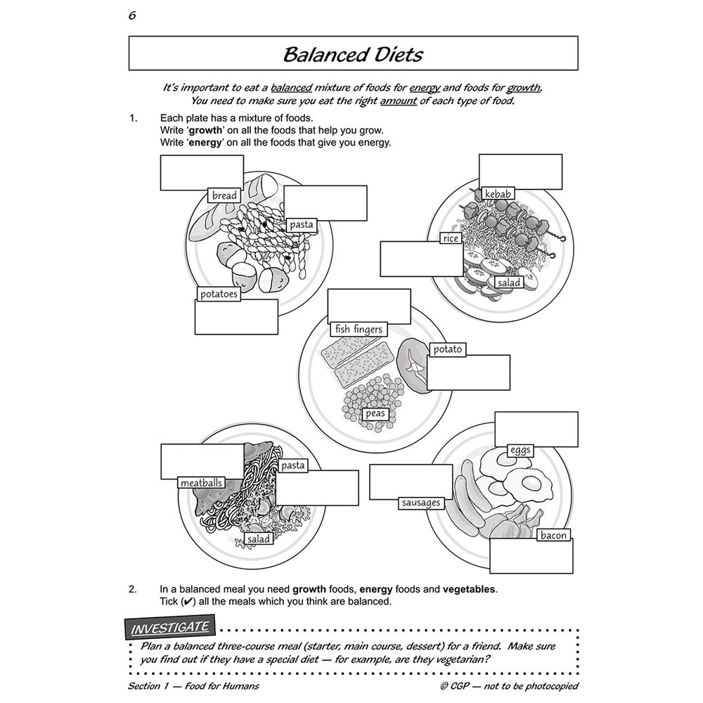  كتاب ks2 science year three workout: nutrition & the body