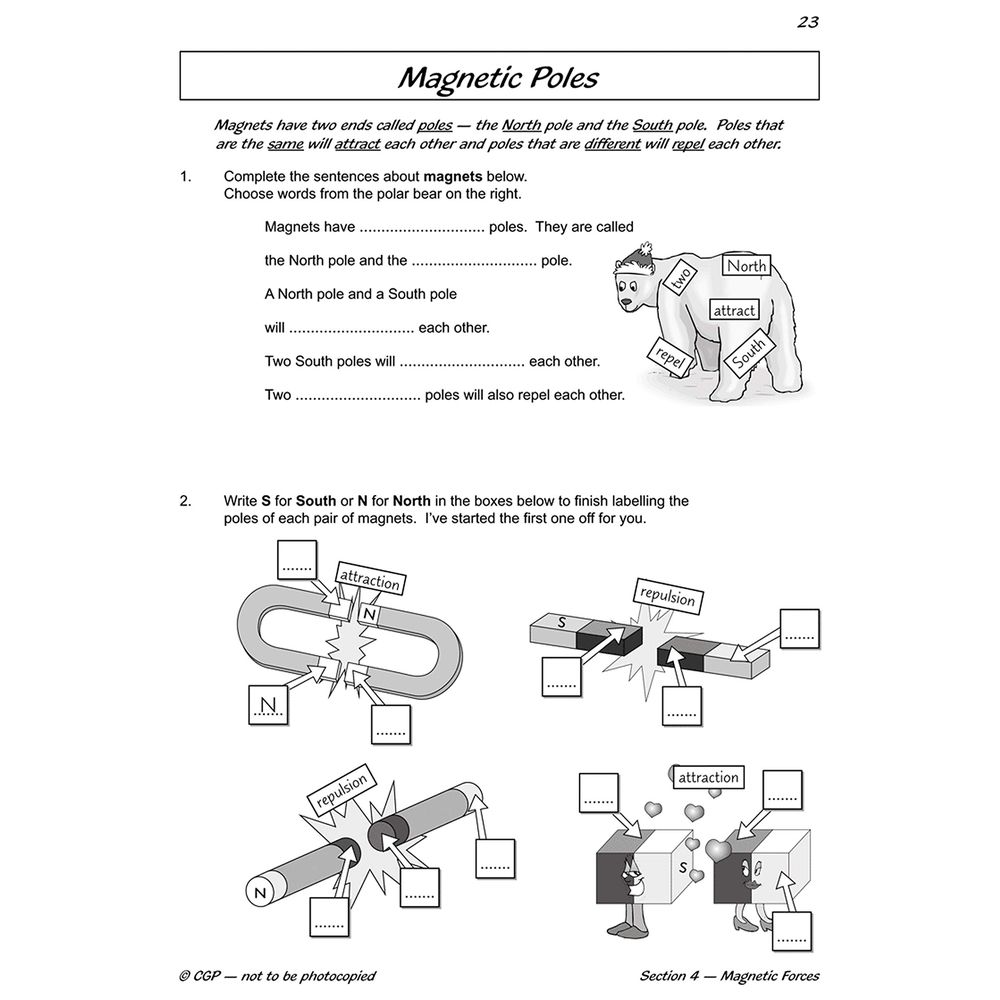  كتاب ks2 science year three workout: light & forces