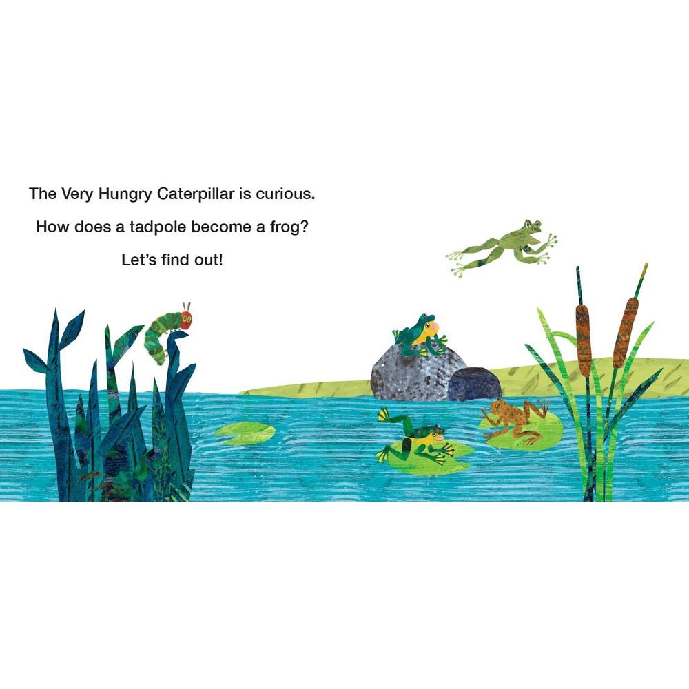  كتاب how does a tadpole grow?