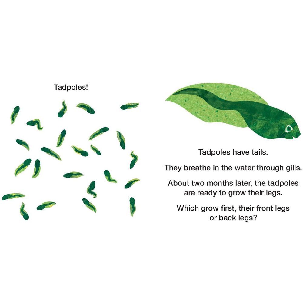  كتاب how does a tadpole grow?