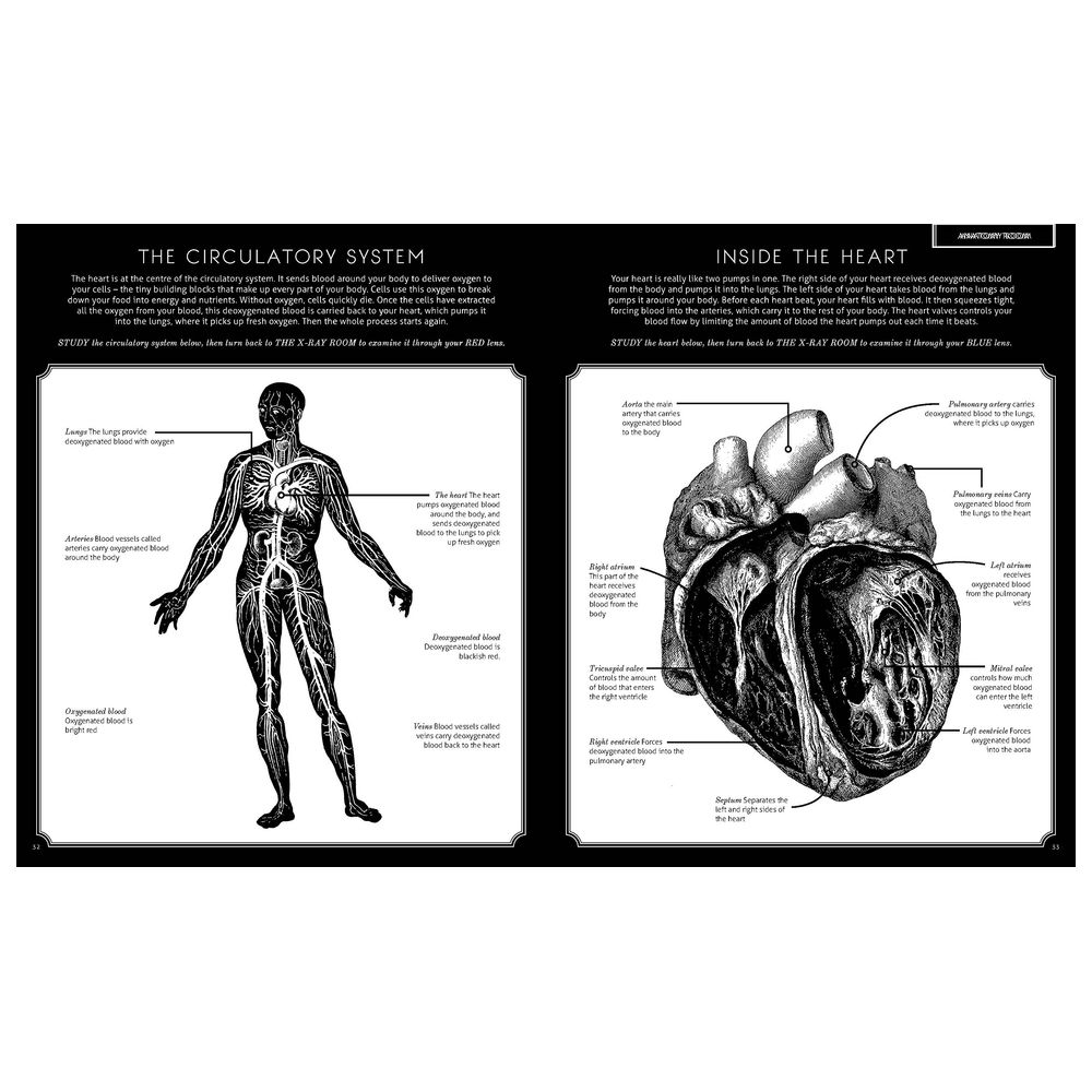  كتاب illumanatomy