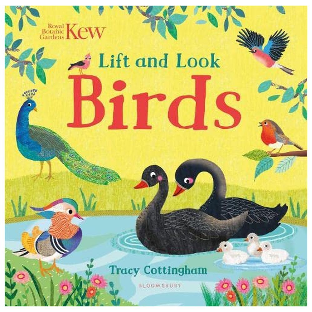 كتاب Kew: Lift and Look Birds