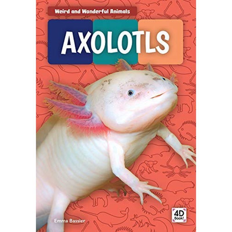 Weird And Wonderful Animals: Axolotls