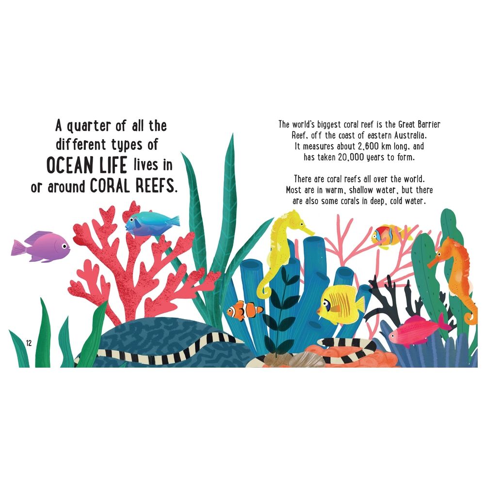  كتاب small and mighty book of oceans