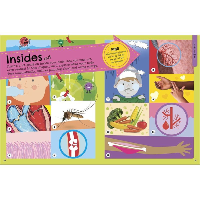 كتاب Fact-Packed Activity Book: Human Body