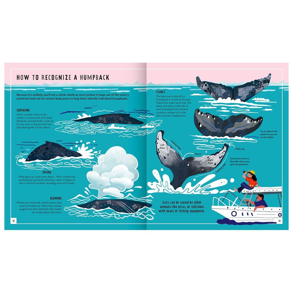 كتاب Humpback Whale (Young Zoologist): A First Field Guide To The Singing Giant Of The Ocean