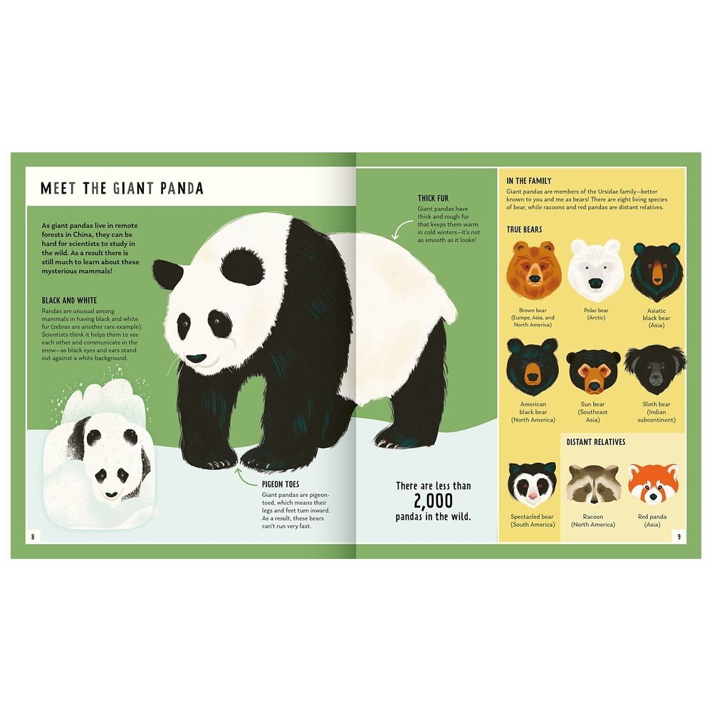 كتاب Giant Panda (Young Zoologist): A First Field Guide To The Bamboo-Loving Bear From China