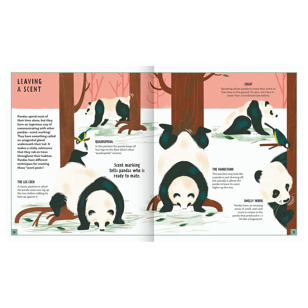 كتاب Giant Panda (Young Zoologist): A First Field Guide To The Bamboo-Loving Bear From China