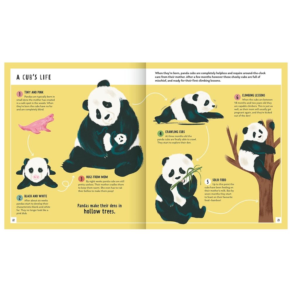 كتاب Giant Panda (Young Zoologist): A First Field Guide To The Bamboo-Loving Bear From China