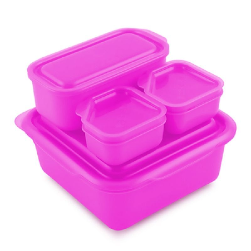 Goodbyn - Portions On-the-Go - Pink