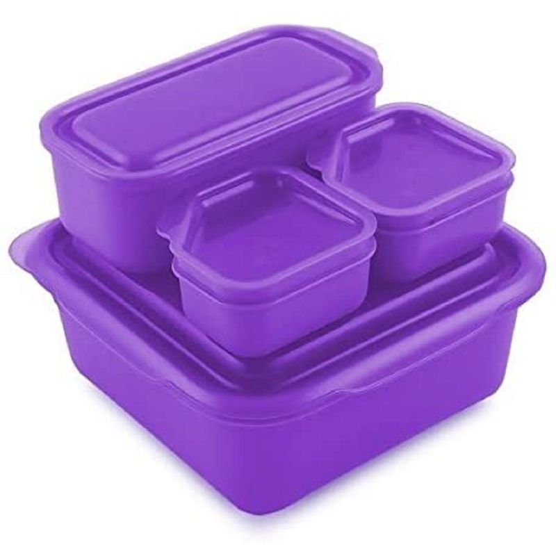 Goodbyn - Portions On-the-Go - Purple