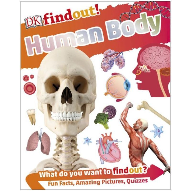 Dk Findout! Human Body