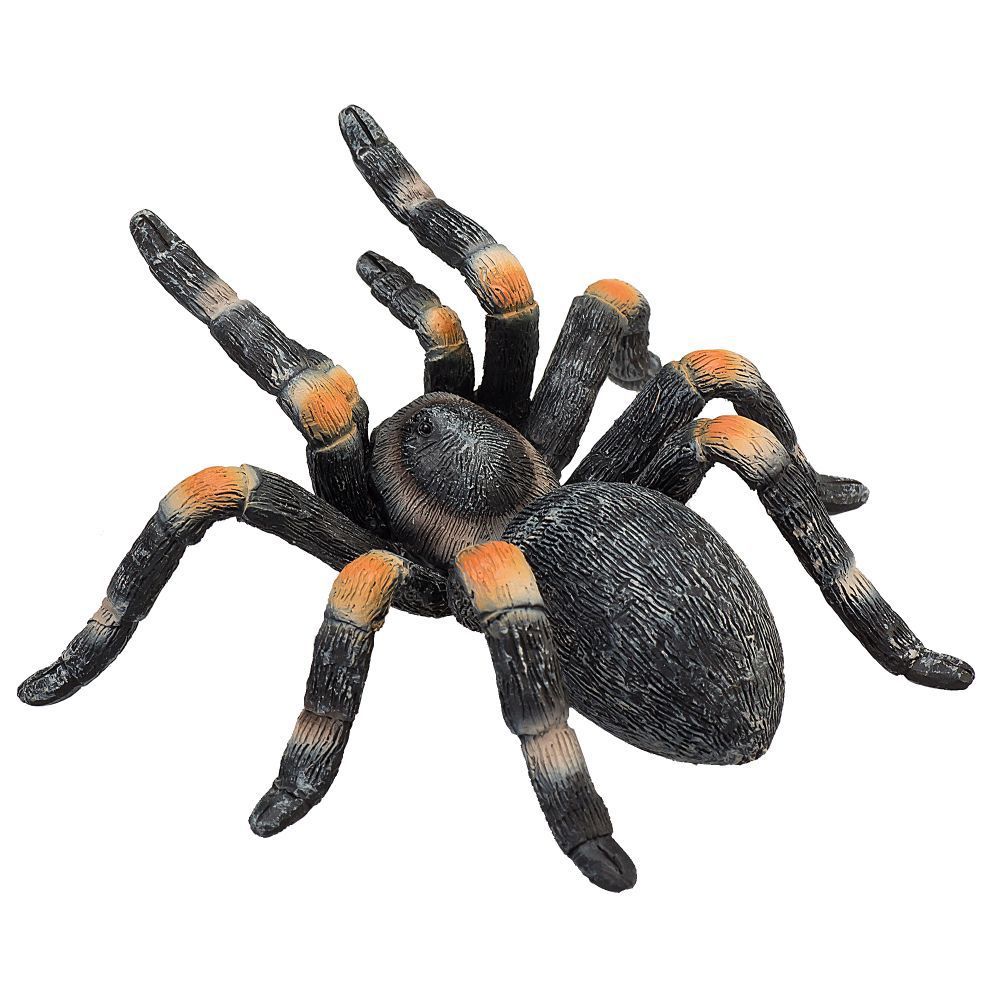 Animal Planet - Mojo Red Kneed Tarantula